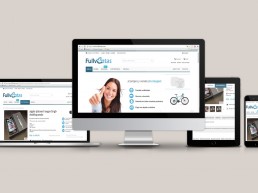 Web Development fullventas
